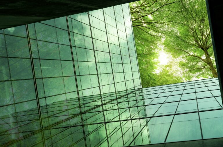 House Cleaning in Cities Like Weehawken, Hoboken, Jersey City & Fort Lee Is Essential | Bloommaid